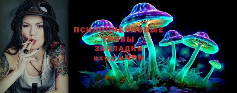 наркота  Соликамск  Псилоцибиновые грибы Psilocybe 